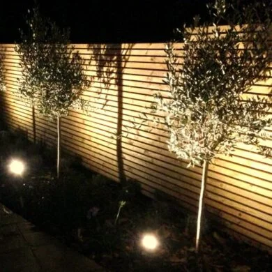 St Albans Garden Ideas