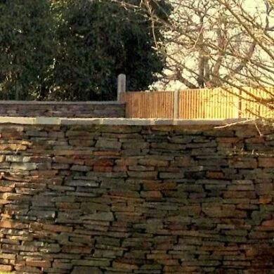 St Albans Garden Ideas